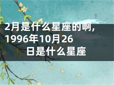 2月是什么星座的啊,1996年10月26日是什么星座