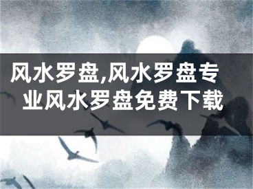 风水罗盘,风水罗盘专业风水罗盘免费下载