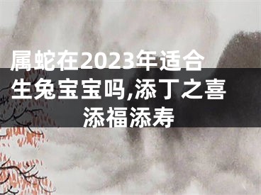 属蛇在2023年适合生兔宝宝吗,添丁之喜添福添寿