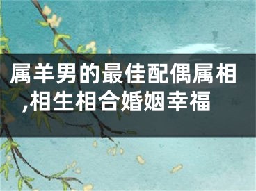 属羊男的最佳配偶属相,相生相合婚姻幸福