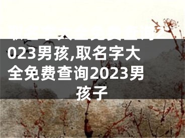 取名字大全免费查询2023男孩,取名字大全免费查询2023男孩子