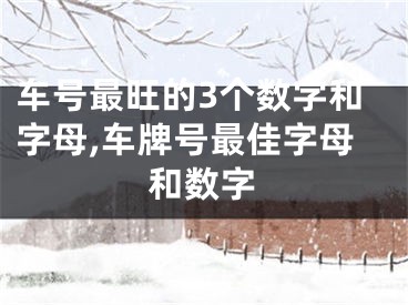 车号最旺的3个数字和字母,车牌号最佳字母和数字