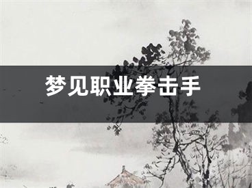 梦见职业拳击手