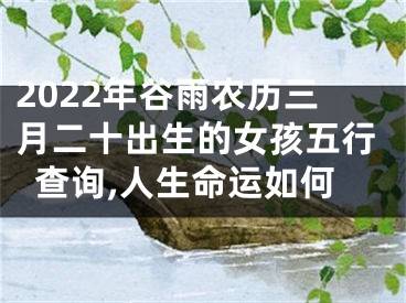 2022年谷雨农历三月二十出生的女孩五行查询,人生命运如何