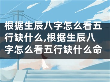 根据生辰八字怎么看五行缺什么,根据生辰八字怎么看五行缺什么命