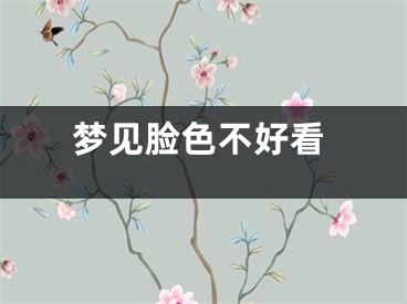 梦见脸色不好看