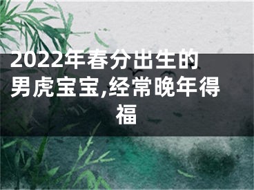 2022年春分出生的男虎宝宝,经常晚年得福