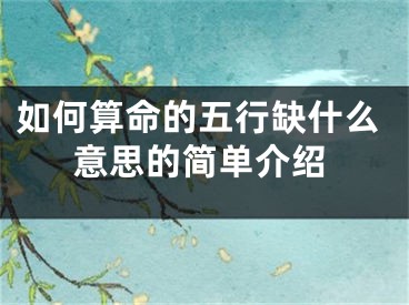 如何算命的五行缺什么意思的简单介绍