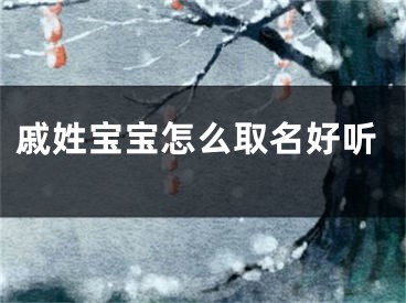 戚姓宝宝怎么取名好听