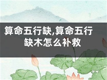 算命五行缺,算命五行缺木怎么补救