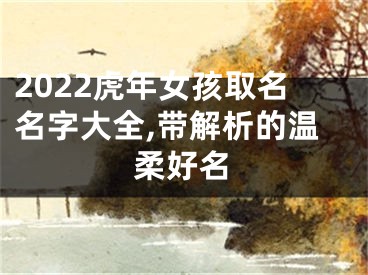 2022虎年女孩取名名字大全,带解析的温柔好名