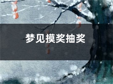 梦见摸奖抽奖