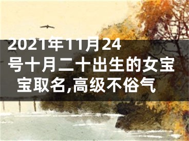 2021年11月24号十月二十出生的女宝宝取名,高级不俗气