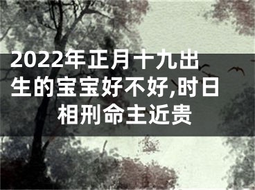 2022年正月十九出生的宝宝好不好,时日相刑命主近贵