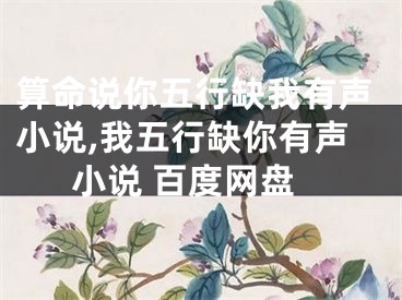 算命说你五行缺我有声小说,我五行缺你有声小说 百度网盘