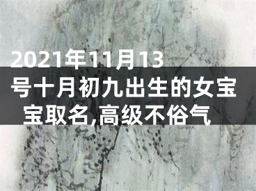 2021年11月13号十月初九出生的女宝宝取名,高级不俗气