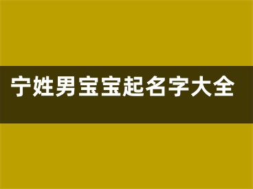 宁姓男宝宝起名字大全