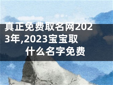 真正免费取名网2023年,2023宝宝取什么名字免费