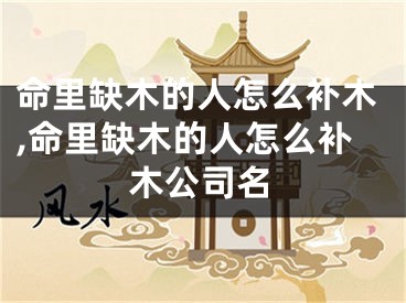 命里缺木的人怎么补木,命里缺木的人怎么补木公司名