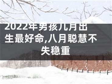 2022年男孩几月出生最好命,八月聪慧不失稳重