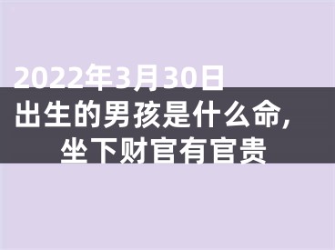 2022年3月30日出生的男孩是什么命,坐下财官有官贵