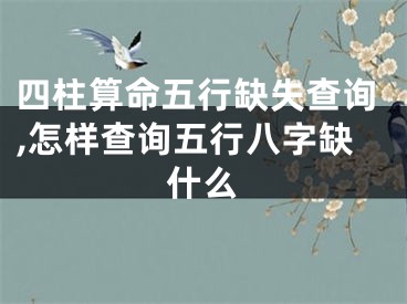 四柱算命五行缺失查询,怎样查询五行八字缺什么