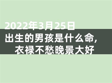 2022年3月25日出生的男孩是什么命,衣禄不愁晚景大好