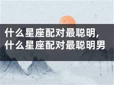 什么星座配对最聪明,什么星座配对最聪明男