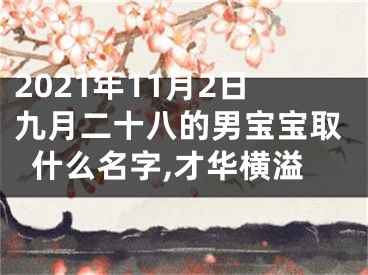 2021年11月2日九月二十八的男宝宝取什么名字,才华横溢