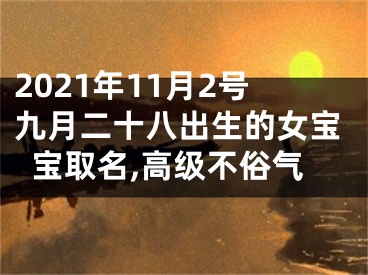 2021年11月2号九月二十八出生的女宝宝取名,高级不俗气