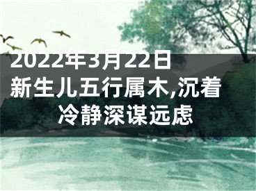 2022年3月22日新生儿五行属木,沉着冷静深谋远虑