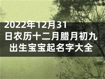 2022年12月31日农历十二月腊月初九出生宝宝起名字大全