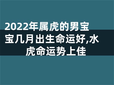 2022年属虎的男宝宝几月出生命运好,水虎命运势上佳