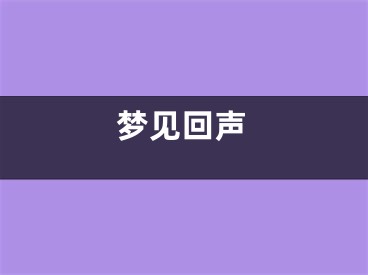 梦见回声