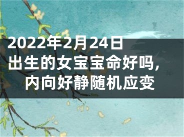 2022年2月24日出生的女宝宝命好吗,内向好静随机应变