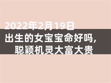 2022年2月19日出生的女宝宝命好吗,聪颖机灵大富大贵