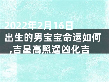 2022年2月16日出生的男宝宝命运如何,吉星高照逢凶化吉