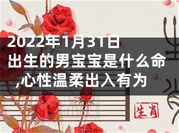 2022年1月31日出生的男宝宝是什么命,心性温柔出入有为