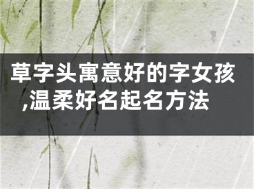 草字头寓意好的字女孩,温柔好名起名方法