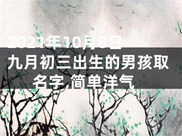 2021年10月8日九月初三出生的男孩取名字,简单洋气