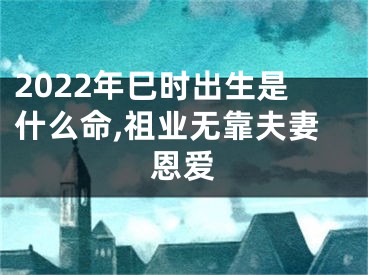 2022年巳时出生是什么命,祖业无靠夫妻恩爱