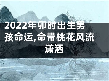 2022年卯时出生男孩命运,命带桃花风流潇洒