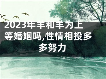 2023年羊和羊为上等婚姻吗,性情相投多多努力