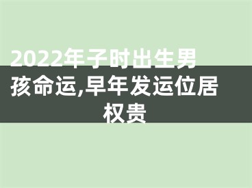 2022年子时出生男孩命运,早年发运位居权贵