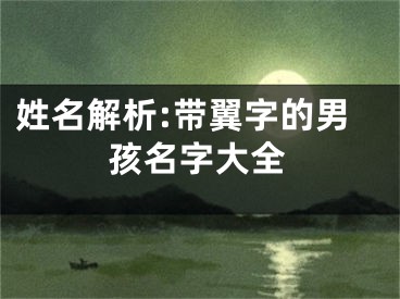 姓名解析:带翼字的男孩名字大全