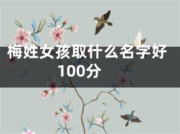 梅姓女孩取什么名字好100分