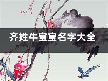 齐姓牛宝宝名字大全