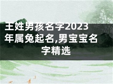 王姓男孩名字2023年属兔起名,男宝宝名字精选