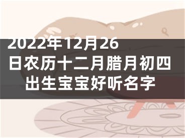 2022年12月26日农历十二月腊月初四出生宝宝好听名字