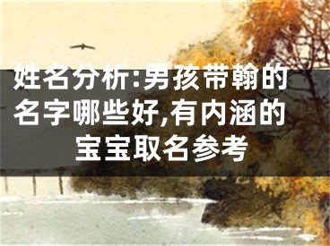 姓名分析:男孩带翰的名字哪些好,有内涵的宝宝取名参考